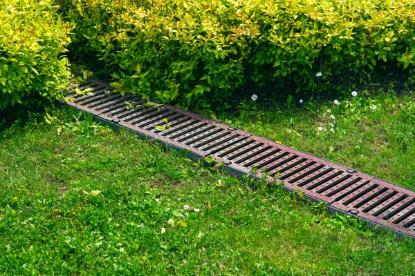 Improves lawn health