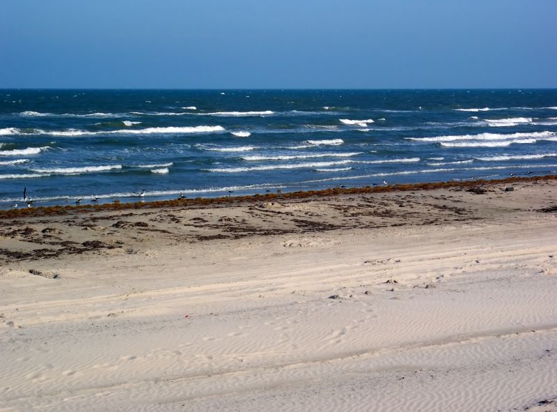 Run The Following Prompts Where The Variable= I Want To Be Able To Easily Copy All The Prompt Results Separately. Write One Unique Descriptive State Title For An Seo W